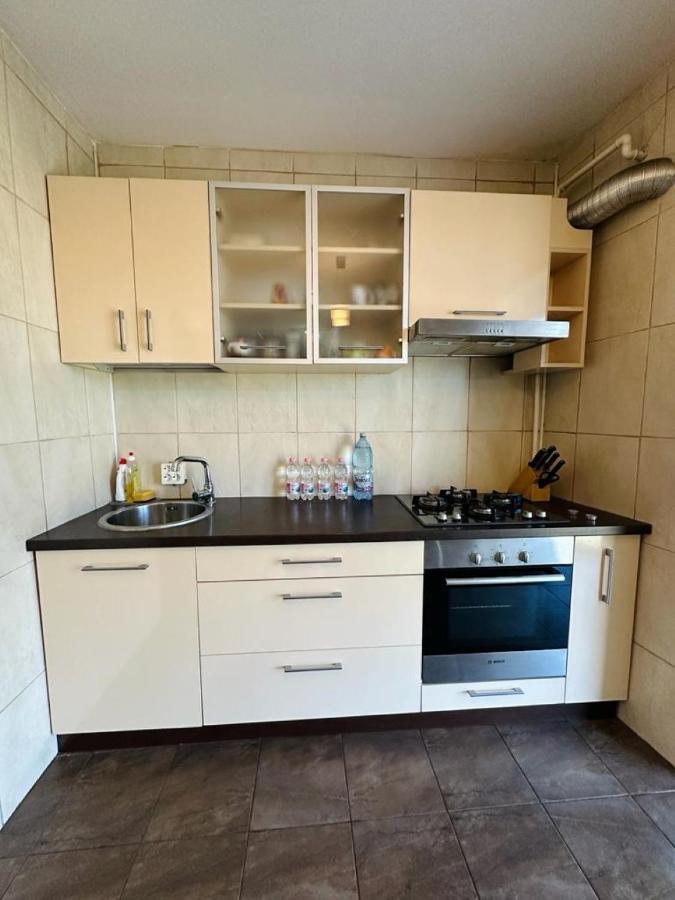 Central Apartment No1 Timisoara Exterior photo